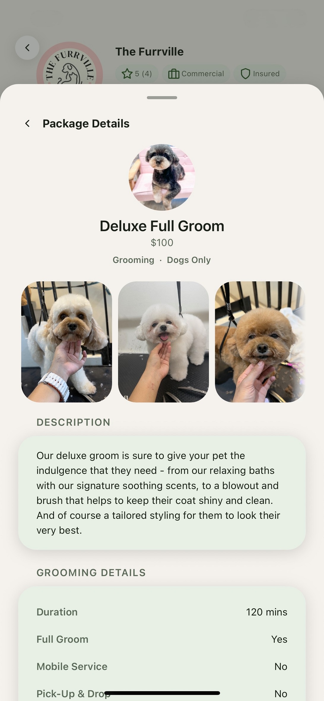 Package details with real grooming photos and pricing