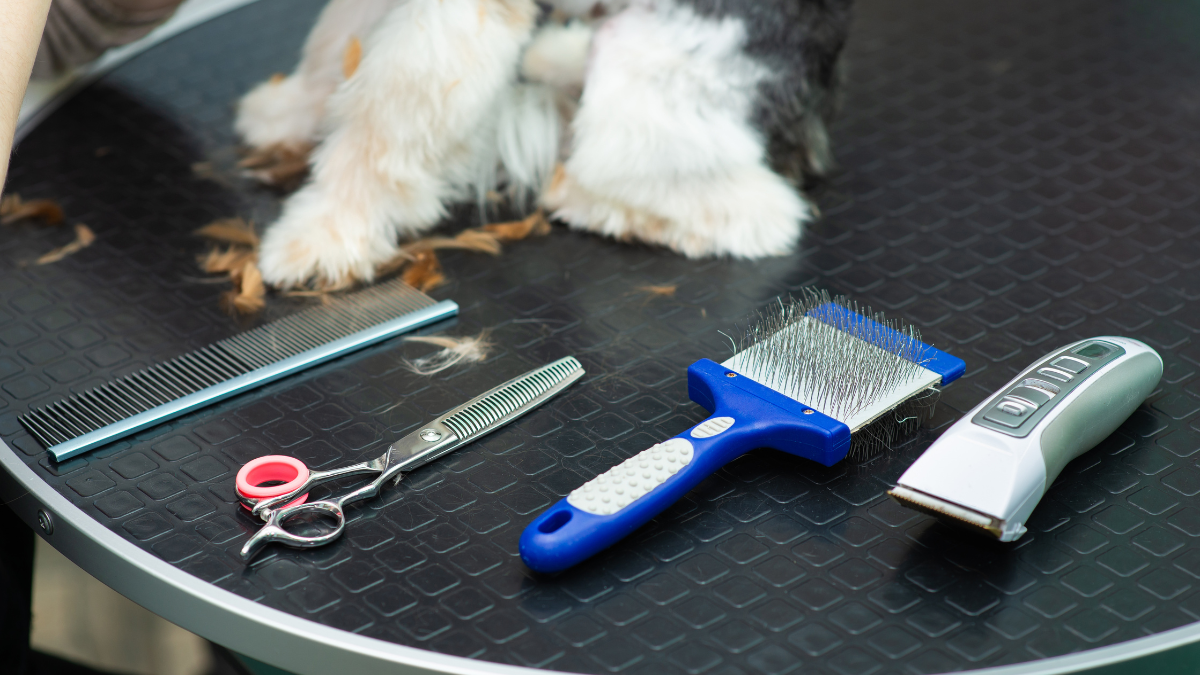 Dog grooming tools on a salon table with a dog's paws